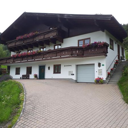 Ferienwohnung Wieser Reizegg 7, 5652 Dienten Dienten am Hochkönig Dış mekan fotoğraf